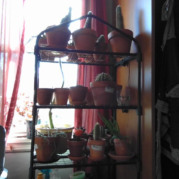 Come and chill with us!! - Picture 2 of 8